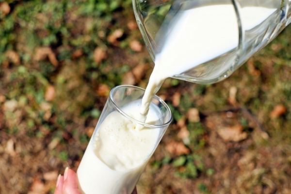 Китайским предприятиям разрешили поставлять молочную продукцию в Россию