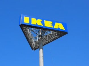 IKEA стала владельцем собственного лесного массива в Румынии