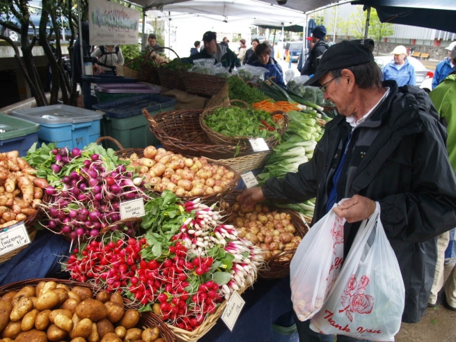 Чили планирует увеличить поставки фруктов, овощей и мяса в РФ