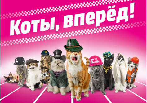 Акция Media Markt «Коты, вперед!» признана лучшей рекламной кампанией года (видео)