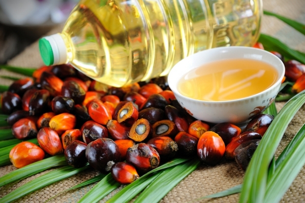 Россия увеличила объем закупок пальмового масла на 35,8%
