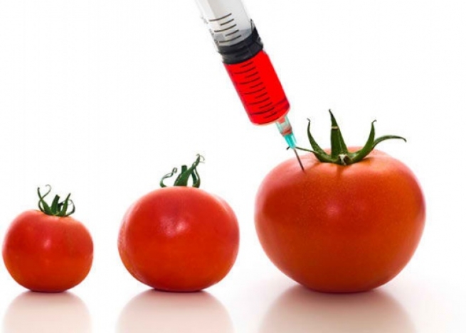 В России ввели запрет на ГМО