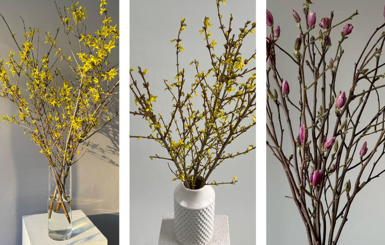 cu4o4jwwkn853ozqusnfrpviakvoggxm Flowwow: расходы россиян на цветущие ветки выросли в три раза (ФОТО)