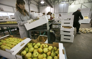 К ввозу в Россию не допущено 2,6 млн кг санкциионной продукции