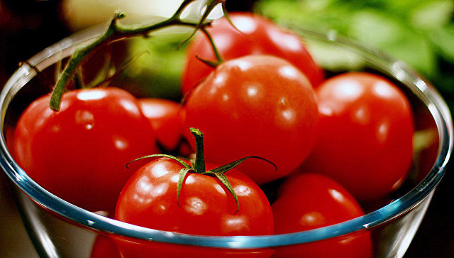 Турецкие томаты вернутся на российский рынок 1 ноября