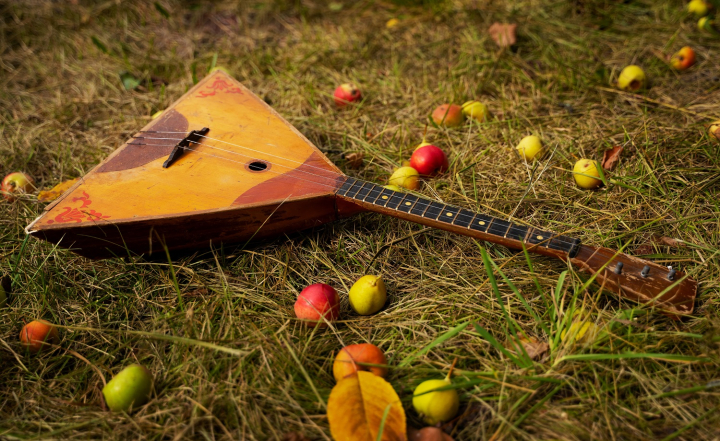 «Музторг» фиксирует двукратный рост продаж балалаек «Музторг» фиксирует двукратный рост продаж балалаек