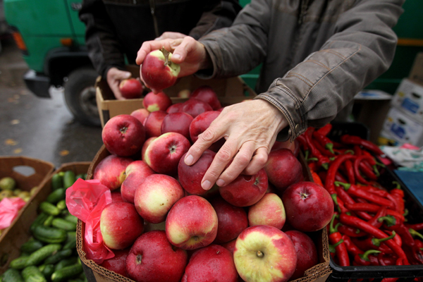 Россельхознадзор введет уведомления для реэкспорта овощей и фруктов из ЕС
