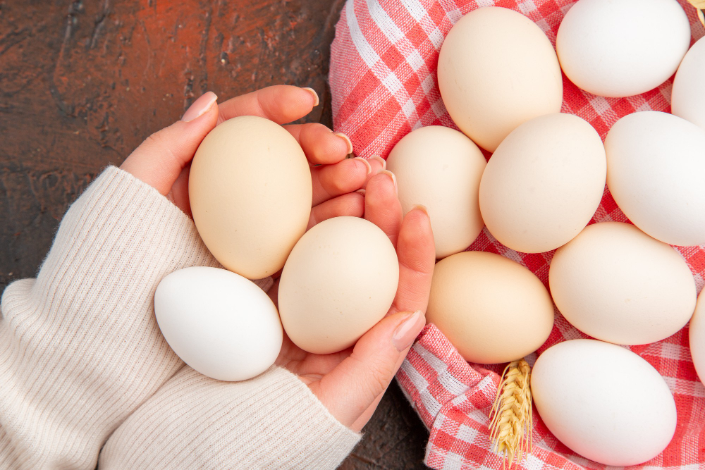 Курица или яйцо: с чем связан дефицит яиц в магазинах и к чему приведет государственное регулирование цен на них