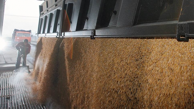 «Мираторг» может начать поставки зерна на экспорт