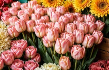 Flowwow начал оптовые продажи цветов