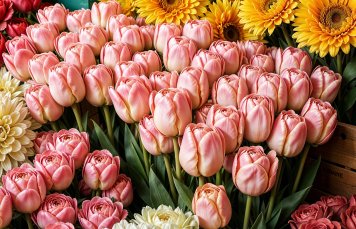 Flowwow начал оптовые продажи цветов