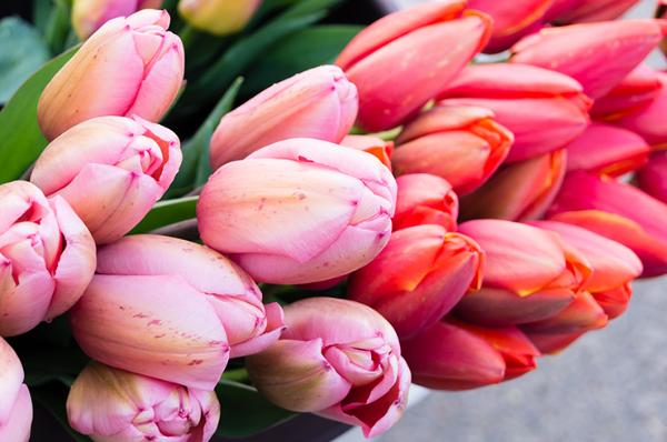 «Яндекс.Лавка» доставит свежие цветы к 8 Марта за 15 минут