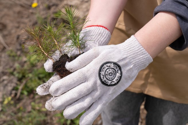 Natura Siberica поддержала акцию по восстановлению лесов Подмосковья Natura Siberica поддержала акцию по восстановлению лесов Подмосковья
