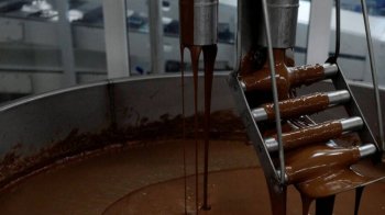 Два человека упали в чан с расплавленным шоколадом на фабрике Mars в США