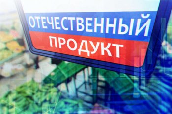 В России будут развивать продажу товаров местного производства через агрегаторы и почту