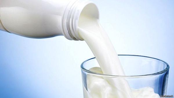 Рост цен на молоко замедлился в России