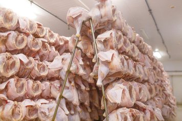 В России зафиксировано снижение оптовых цен на бройлера