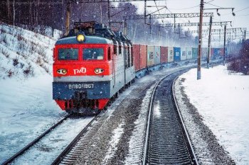 «Магнит» запустил доставку импортных фруктов в Москву по железной дороге