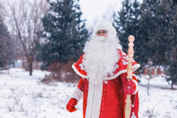 Россияне стали чаще приглашать Деда мороза для поздравления ребенка