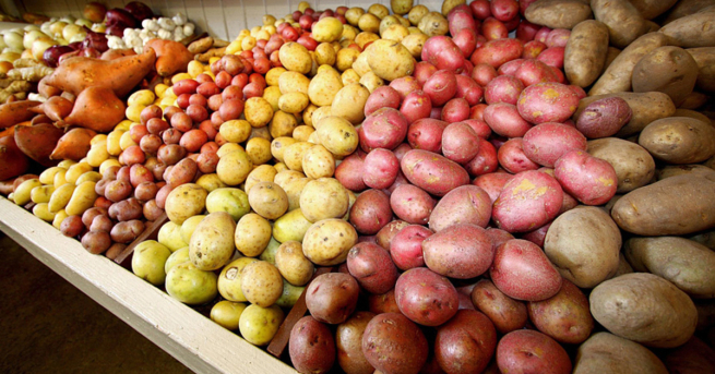 Отечественные производители картофеля предложили ограничить его импорт