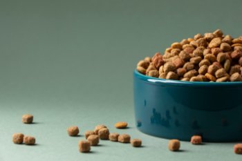 Купер: свыше 80% всех заказов зоотоваров приходится на корма для кошек