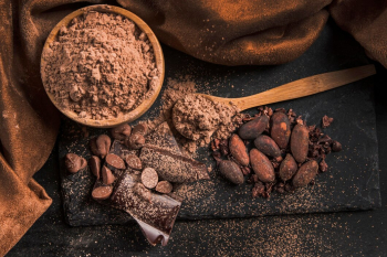 Cоздание в Петербурге перевалочного терминала для какао-бобов снизит цены
