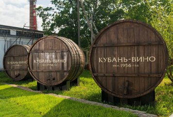 Производитель вина «Кубань-вино» перешел в собственность государства