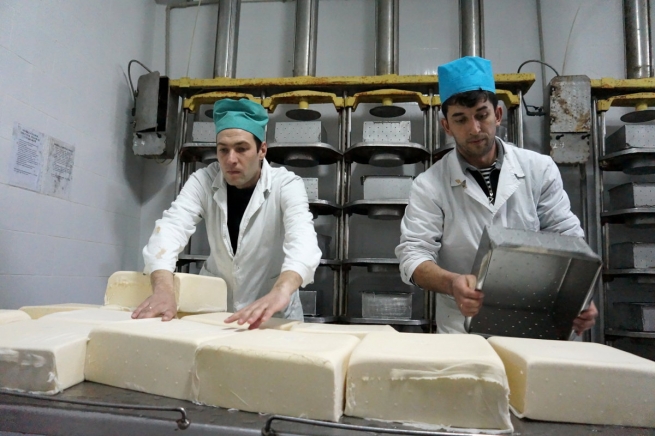Акционер «Магнита» займется производством молока и сыра