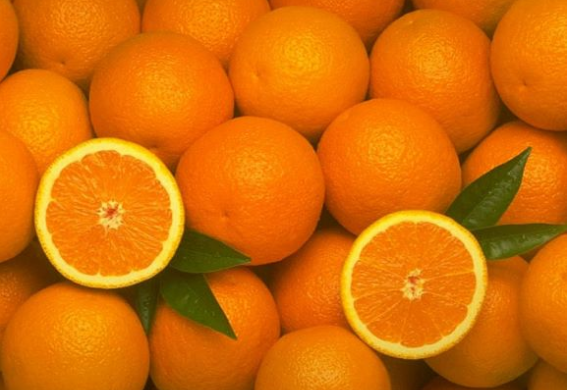 Египту вернули апельсины с мухами