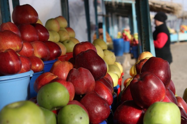 Россия может запретить поставки овощей и фруктов из Белоруссии