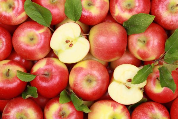 Роскачество нашло пестициды в яблоках на полках магазинов