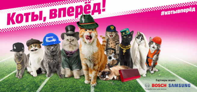Media Markt запускает новую кампанию «Коты, вперед!»