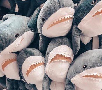 Раз Блохэй, два Блохэй: компания ИКЕА объяснила требования к социальной дистанции на игрушечных акулах