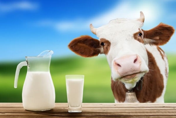 Стоимость молока завышена в два раза