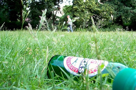 К лету 2015 г. в столичных парках могут разрешить продажу алкогольной продукции