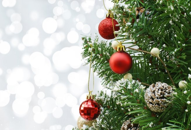 Ответственность за переработку искусственных елей ляжет на производителей