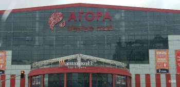 В Сургуте продают торговый центр арестованного бизнесмена Андрея Копайгоры
