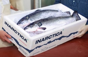 «Инарктика» приобрела рыбоводное хозяйство в Нижегородской области