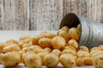 Картофель нового урожая подешевел на 27% за месяц