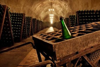 Дочерняя компания «Абрау-Дюрсо» в 6 раз увеличит экспорт вина из Азербайджана в Россию