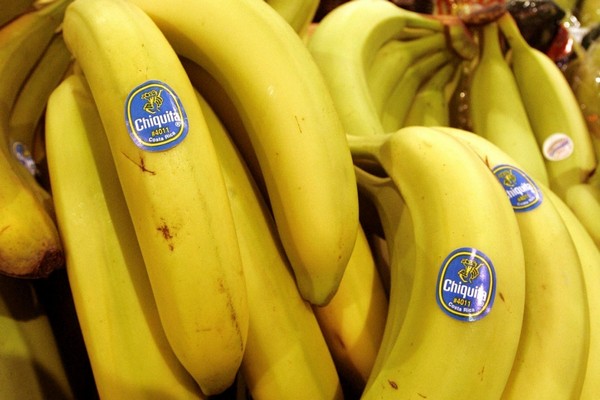 Самый популярный сорт банана оказался под угрозой исчезновения