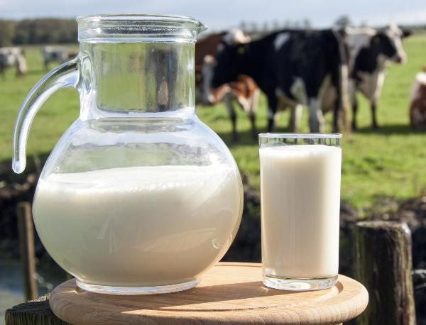 ЦРПТ озвучил позицию по стартующей в июне 2020 года маркировке молочной продукции