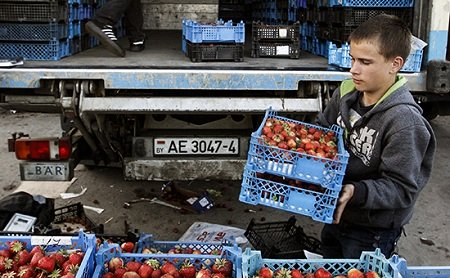 Россельхознадзор просит Белоруссию временно отказаться от транзита продуктов через РФ