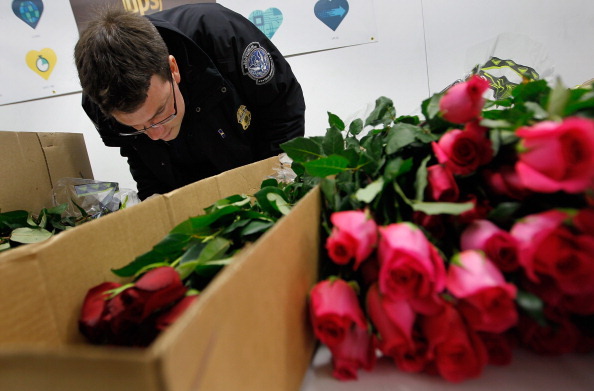 Из-за «цветочного эмбарго» российский рынок цветоводства может сократиться на 80%