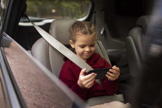 Росстандарт оштрафовал двух продавцов небезопасных автомобильных детских удерживающих устройств
