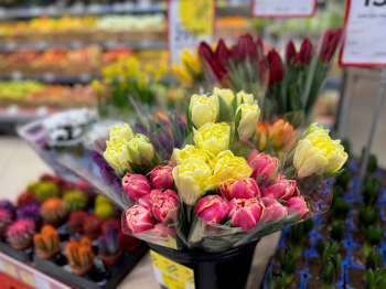 Более миллиона цветов поступили в торговые сети «Красный Яр» и «Батон» в преддверии 8 марта