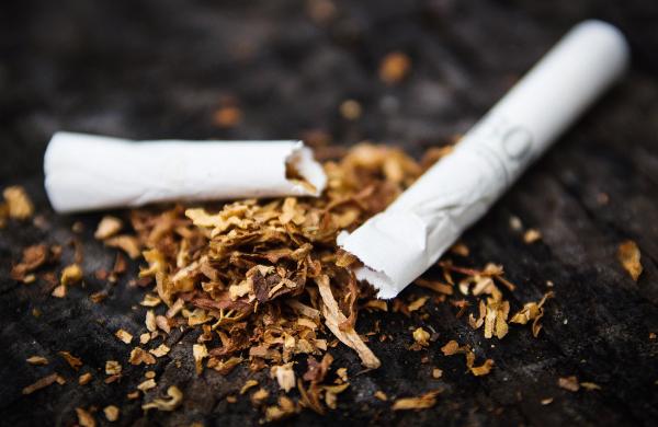 ФАС предложила создать регулятора табачного рынка