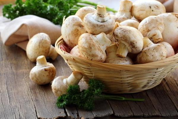 Россия ограничила поставки белорусских шампиньонов из-за польских грибов