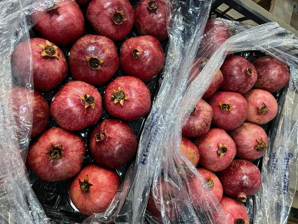 ФТС России обнаружил в московском регионе более 600 тонн товаров с нарушениями