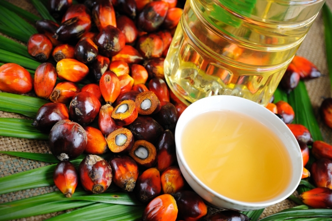 Цены на пальмовое масло могут увеличиться до 17%